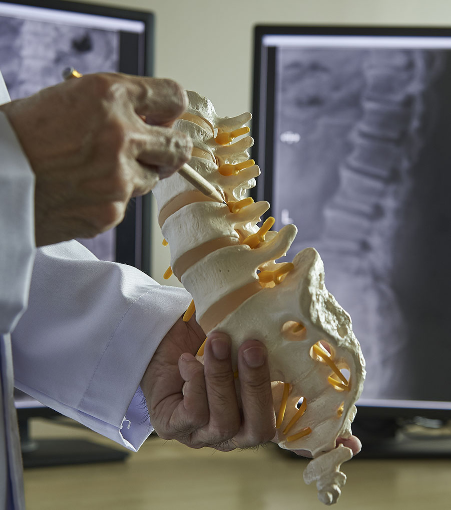 other lumbar specialties of dr. joseph albano new jersey spine surgeon